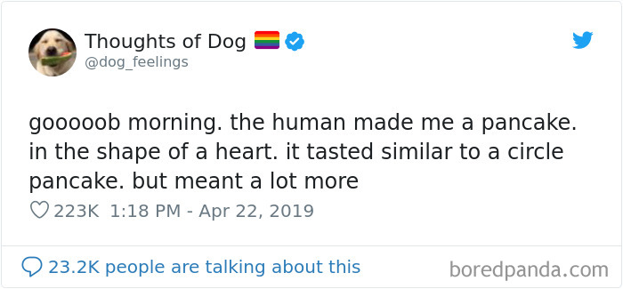 Dog Thoughts