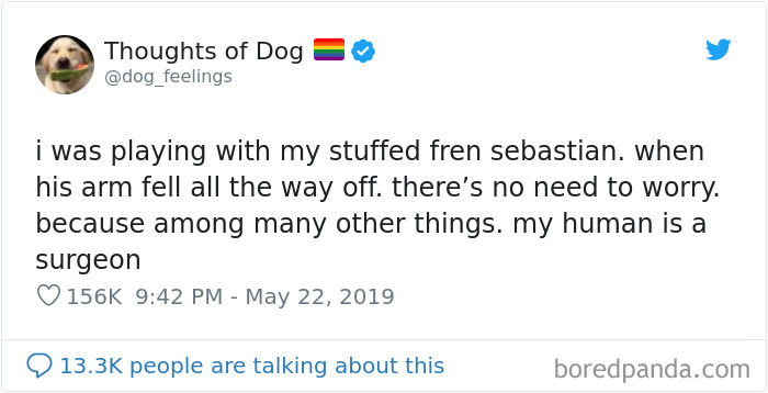 Dog Thoughts