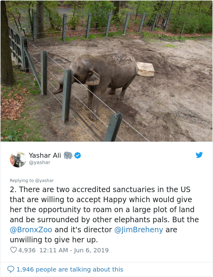 People Are Trying To Convince The Bronx Zoo To Release Happy The Elephant And This Thread Explains Why People Are Trying To Convince The Bronx Zoo To Release Happy The Elephant And This Thread Explains Why
