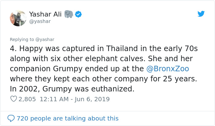 People Are Trying To Convince The Bronx Zoo To Release Happy The Elephant And This Thread Explains Why People Are Trying To Convince The Bronx Zoo To Release Happy The Elephant And This Thread Explains Why