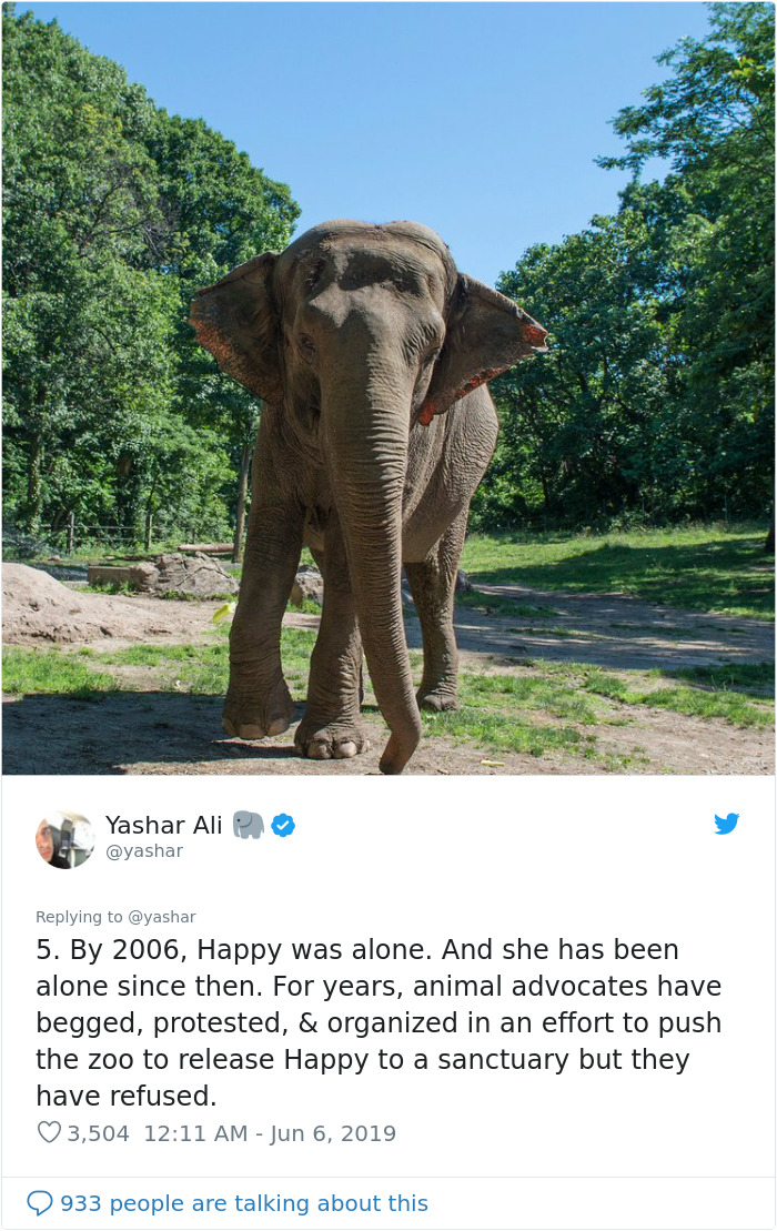 People Are Trying To Convince The Bronx Zoo To Release Happy The Elephant And This Thread Explains Why