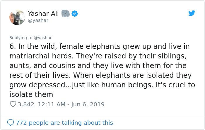 People Are Trying To Convince The Bronx Zoo To Release Happy The Elephant And This Thread Explains Why People Are Trying To Convince The Bronx Zoo To Release Happy The Elephant And This Thread Explains Why