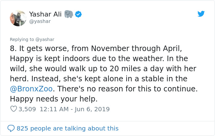 People Are Trying To Convince The Bronx Zoo To Release Happy The Elephant And This Thread Explains Why