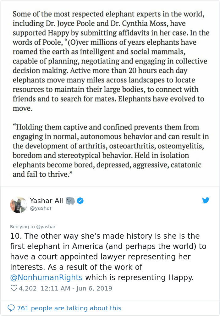 People Are Trying To Convince The Bronx Zoo To Release Happy The Elephant And This Thread Explains Why People Are Trying To Convince The Bronx Zoo To Release Happy The Elephant And This Thread Explains Why