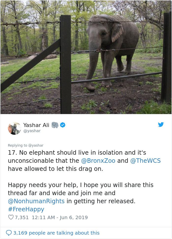 People Are Trying To Convince The Bronx Zoo To Release Happy The Elephant And This Thread Explains Why