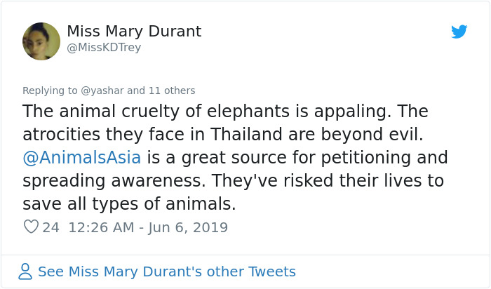 People Are Trying To Convince The Bronx Zoo To Release Happy The Elephant And This Thread Explains Why