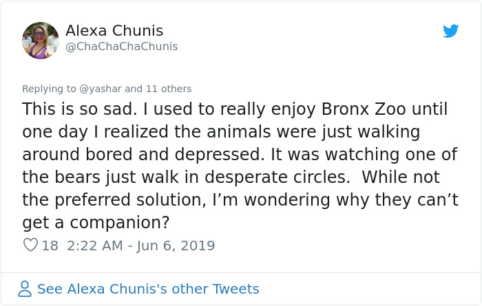 People Are Trying To Convince The Bronx Zoo To Release Happy The Elephant And This Thread Explains Why