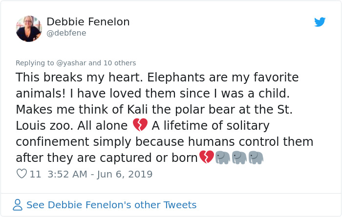 People Are Trying To Convince The Bronx Zoo To Release Happy The Elephant And This Thread Explains Why