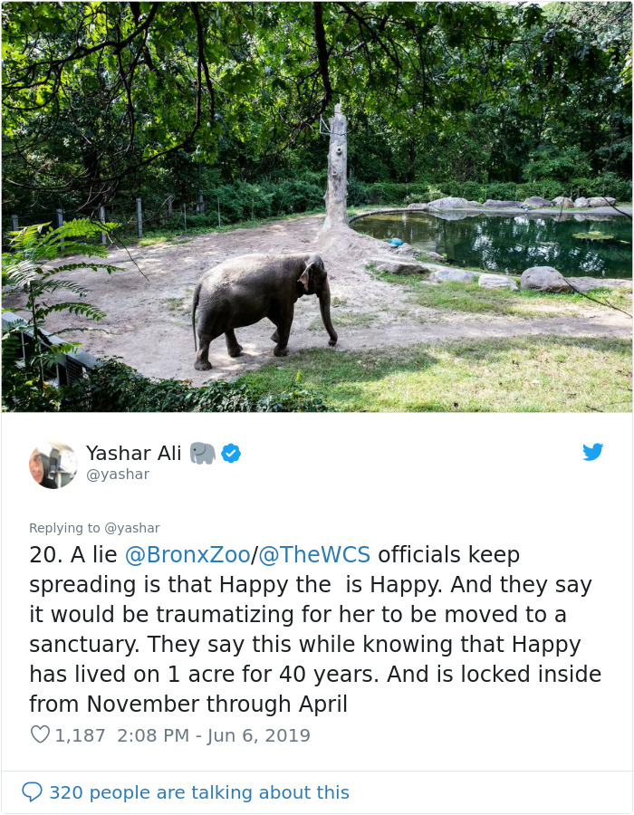 People Are Trying To Convince The Bronx Zoo To Release Happy The Elephant And This Thread Explains Why People Are Trying To Convince The Bronx Zoo To Release Happy The Elephant And This Thread Explains Why