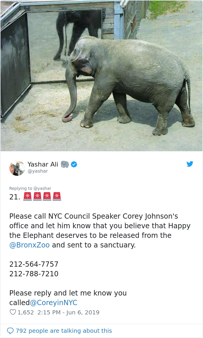 People Are Trying To Convince The Bronx Zoo To Release Happy The Elephant And This Thread Explains Why People Are Trying To Convince The Bronx Zoo To Release Happy The Elephant And This Thread Explains Why