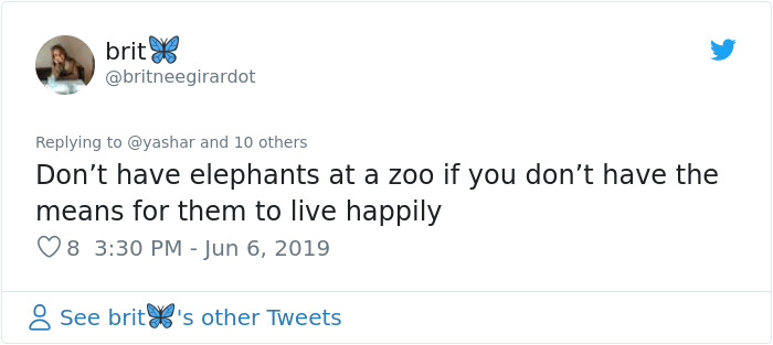 People Are Trying To Convince The Bronx Zoo To Release Happy The Elephant And This Thread Explains Why People Are Trying To Convince The Bronx Zoo To Release Happy The Elephant And This Thread Explains Why