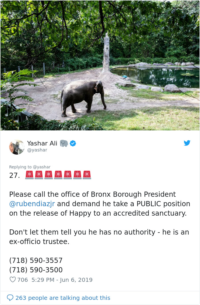 People Are Trying To Convince The Bronx Zoo To Release Happy The Elephant And This Thread Explains Why