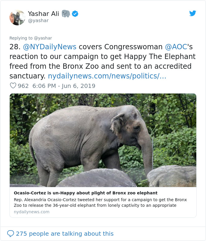 People Are Trying To Convince The Bronx Zoo To Release Happy The Elephant And This Thread Explains Why