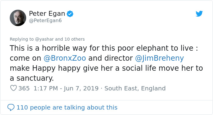 People Are Trying To Convince The Bronx Zoo To Release Happy The Elephant And This Thread Explains Why People Are Trying To Convince The Bronx Zoo To Release Happy The Elephant And This Thread Explains Why