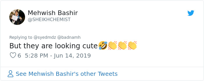 Pakistani Government Officials Accidentally Turn On Cat Filter During Facebook Live, Hilarity Ensues