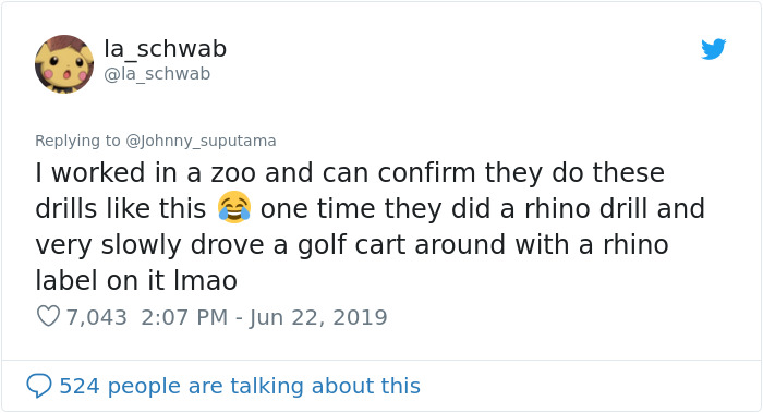 Japanese Zoo Escape Drill Goes Viral And People Are Laughing At The Real Lions' Reaction