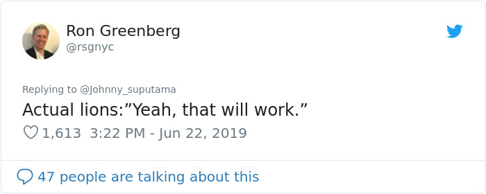 Japanese Zoo Escape Drill Goes Viral And People Are Laughing At The Real Lions' Reaction