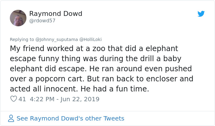 Japanese Zoo Escape Drill Goes Viral And People Are Laughing At The Real Lions' Reaction Japanese Zoo Escape Drill Goes Viral And People Are Laughing At The Real Lions' Reaction