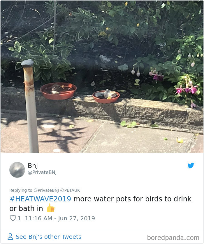 Europe-Hot-Weather-Summer-Heatwave-2019