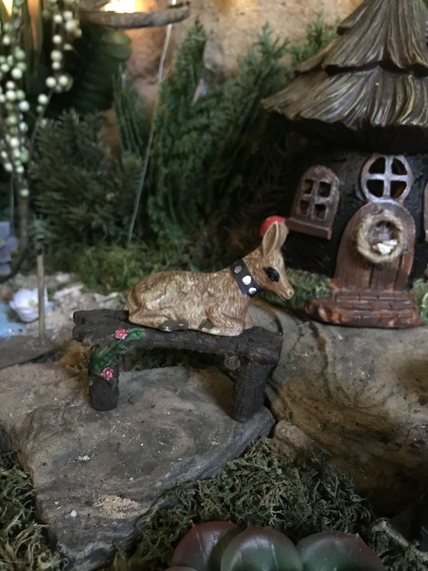 Tiny Sans-Fairy Garden Tiny Sans-Fairy Garden