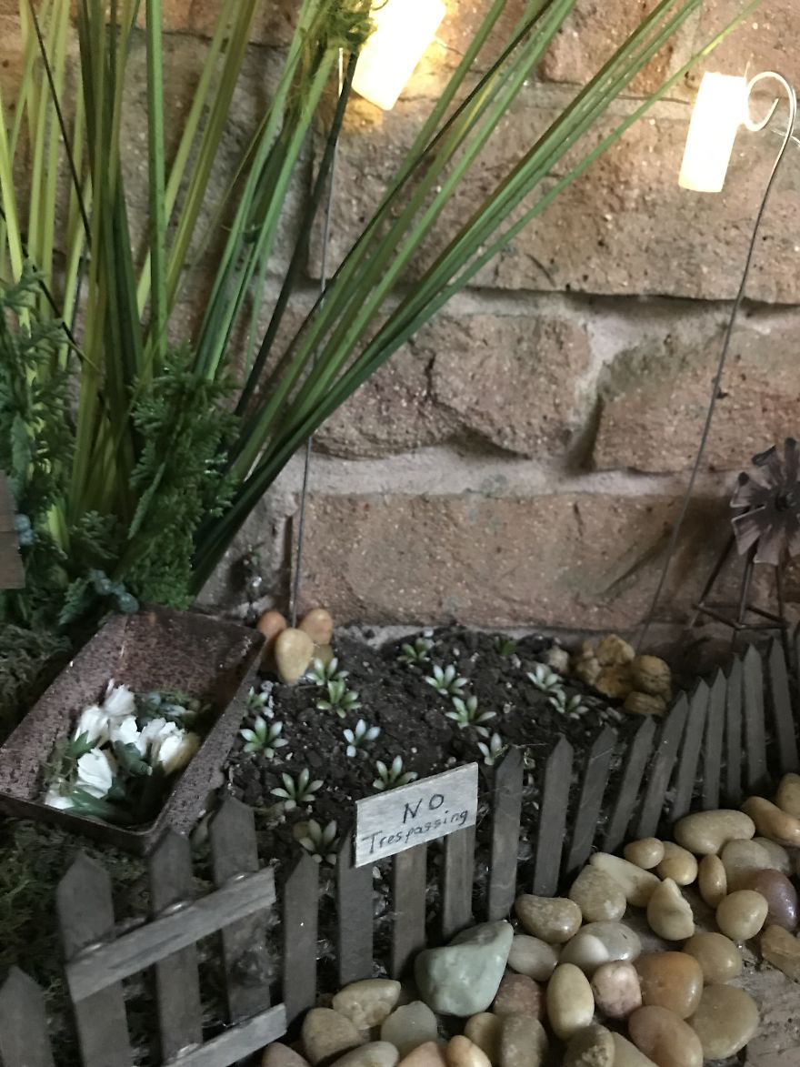 Tiny Sans-Fairy Garden