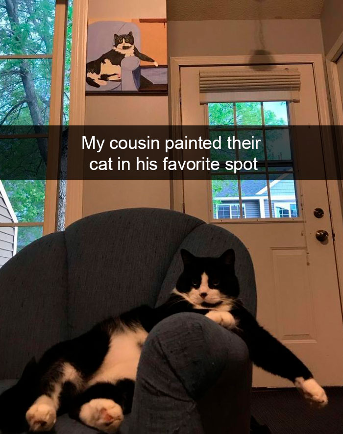 Cat-Snapchats