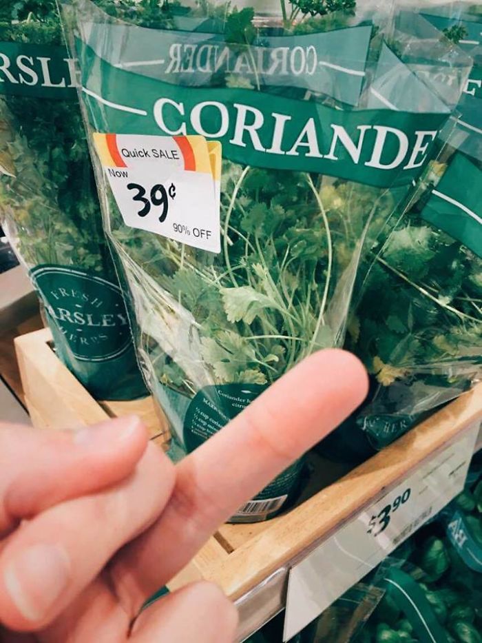I Hate Coriander
