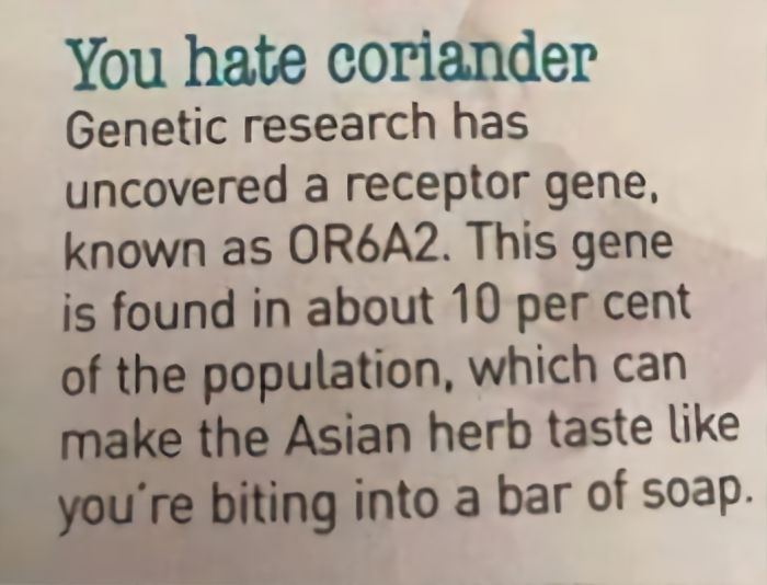 I Hate Coriander