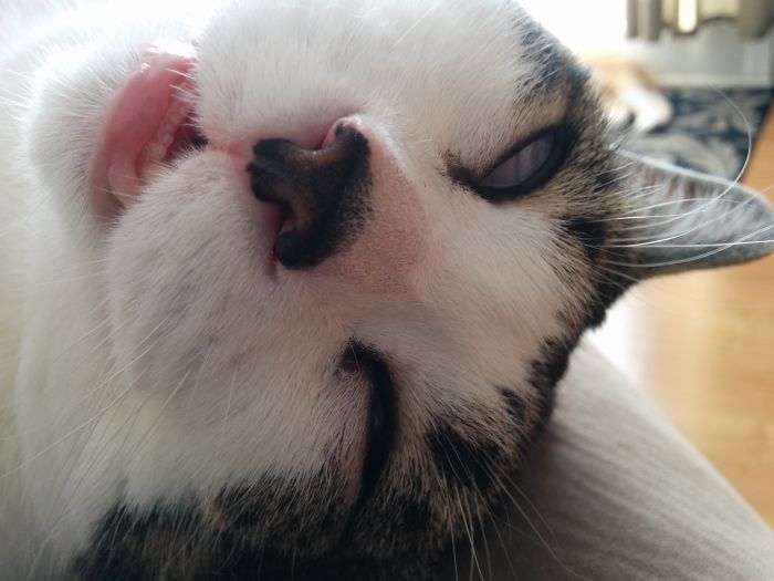 Junior In All His Beauty !