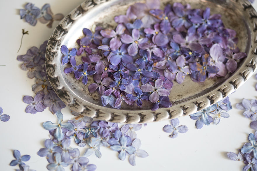 I Quit My Job To Follow My Passion Of Delicate Framed Herbariums