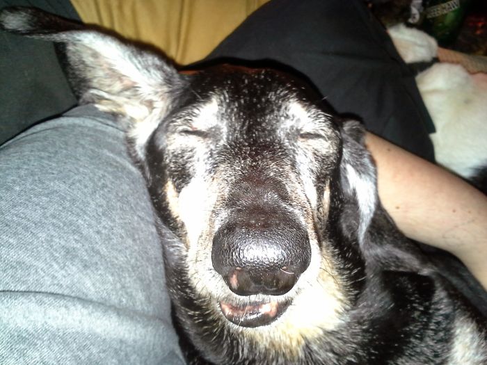 Silly Sleeper ( Makes Me Laugh Everytime I Look At This Pic)