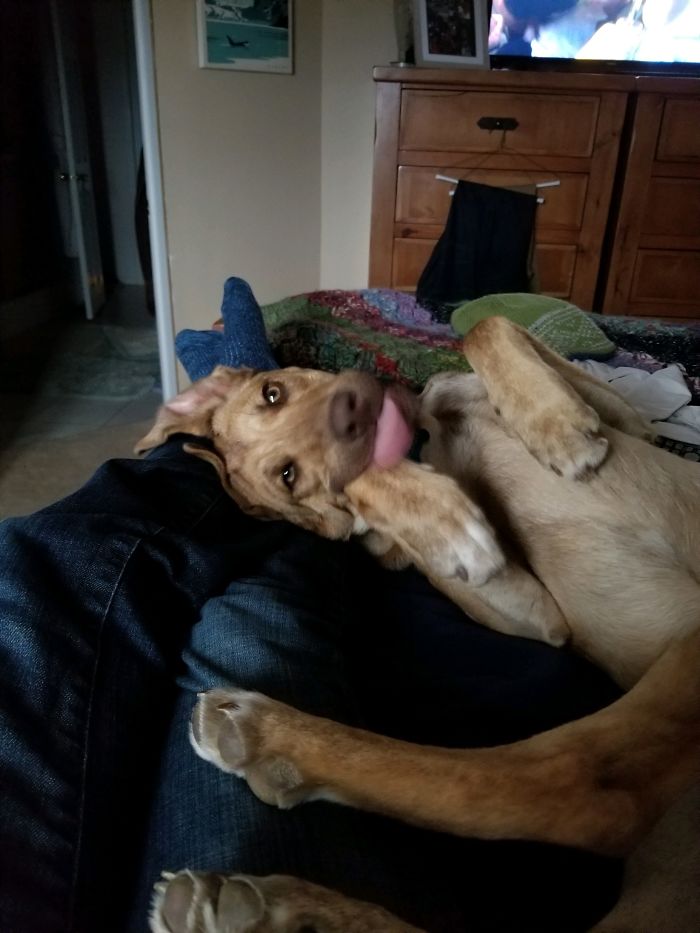 He's A Dignified Boy!