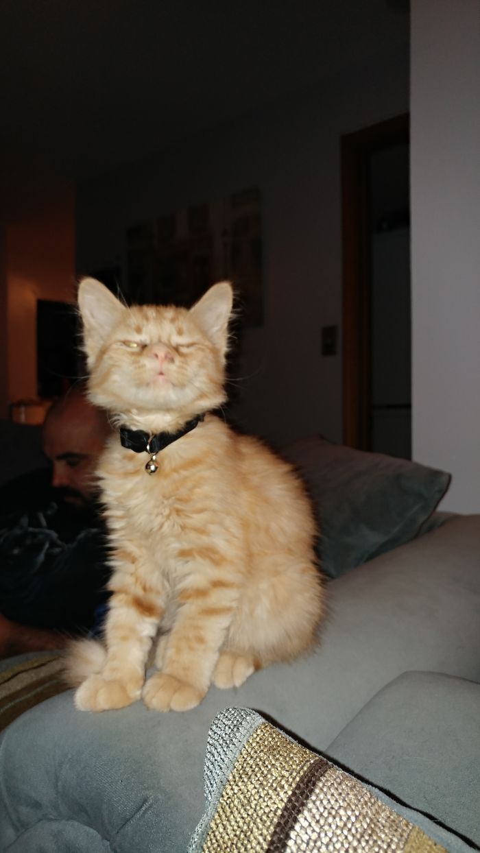 Right Before A Sneeze