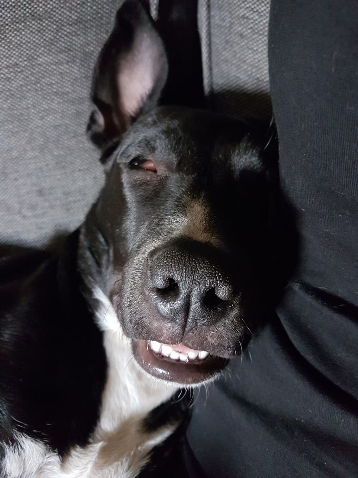 Kuma Once Again ! I Can Promise You She's Also Cute...it's Exceptions Okay ?