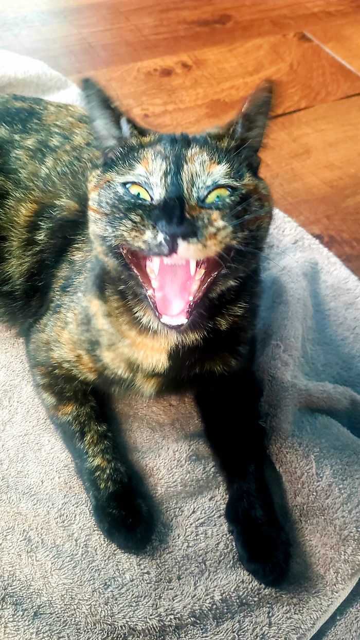 Black Sabbath- She Earned Her Name :)