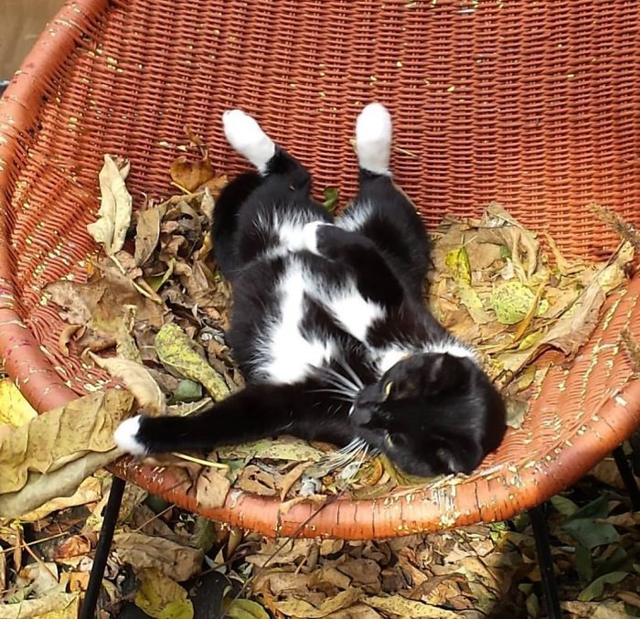 Plimpton, Nuff Said.