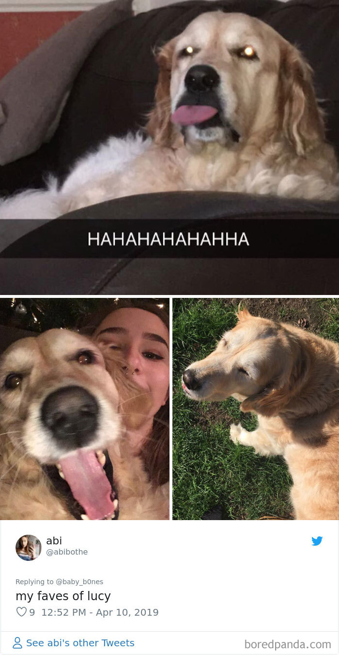 Least-Flattering-Pets