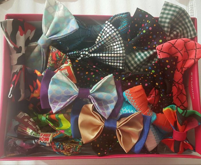 12-Year-Old Kid Makes Shelter Cats And Dogs Stylish Bow Ties To Help Them Find A Home
