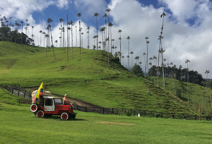 Cocora