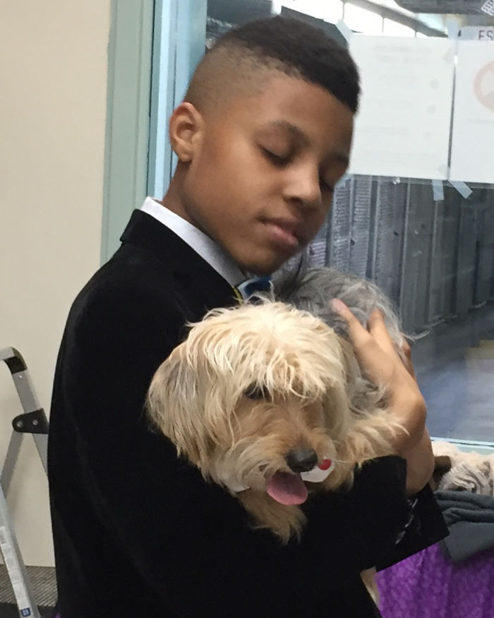 12-Year-Old Kid Makes Shelter Cats And Dogs Stylish Bow Ties To Help Them Find A Home