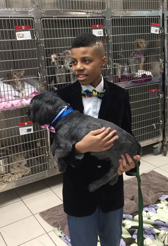 12-Year-Old Kid Makes Shelter Cats And Dogs Stylish Bow Ties To Help Them Find A Home 12-Year-Old Kid Makes Shelter Cats And Dogs Stylish Bow Ties To Help Them Find A Home