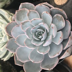 katie_karstensen avatar