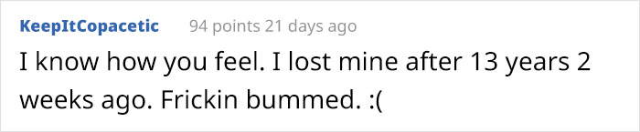 "He Waited There Every Day For 11 Years. I Knew One Day I’ll Come Home And He Won’t Be There" "He Waited There Every Day For 11 Years. I Knew One Day I’ll Come Home And He Won’t Be There"