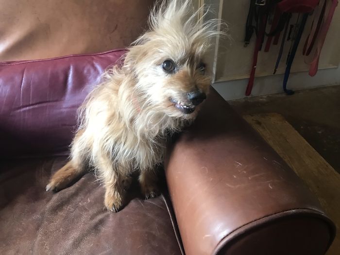 Andy Is Mr. Steal Your Girl.