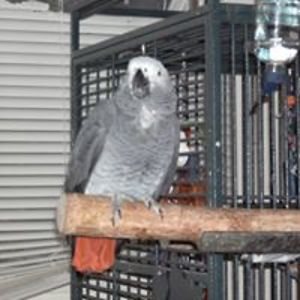 sablesept9455 avatar