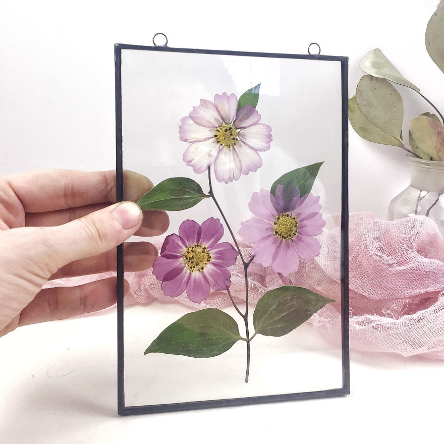 I Quit My Job To Follow My Passion Of Delicate Framed Herbariums I Quit My Job To Follow My Passion Of Delicate Framed Herbariums