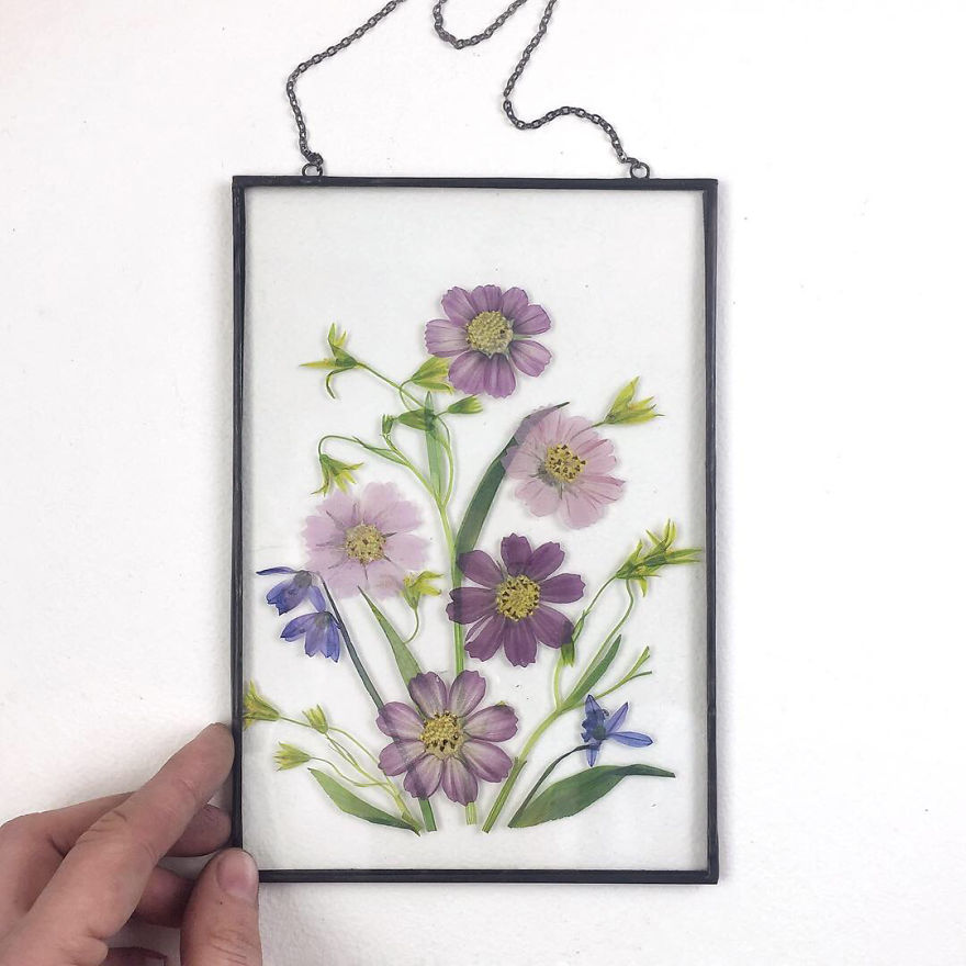 I Quit My Job To Follow My Passion Of Delicate Framed Herbariums I Quit My Job To Follow My Passion Of Delicate Framed Herbariums