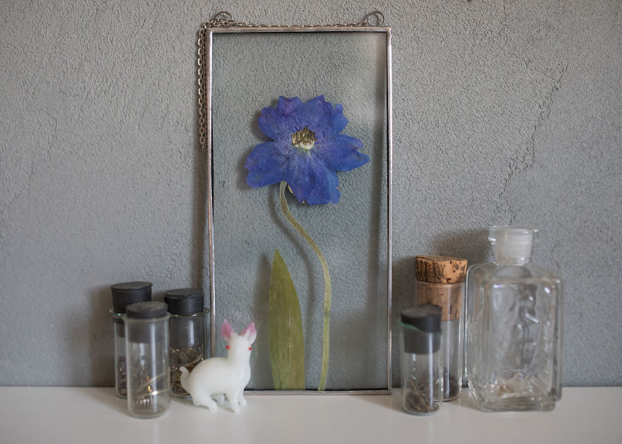 I Quit My Job To Follow My Passion Of Delicate Framed Herbariums I Quit My Job To Follow My Passion Of Delicate Framed Herbariums