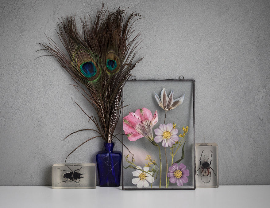 I Quit My Job To Follow My Passion Of Delicate Framed Herbariums I Quit My Job To Follow My Passion Of Delicate Framed Herbariums