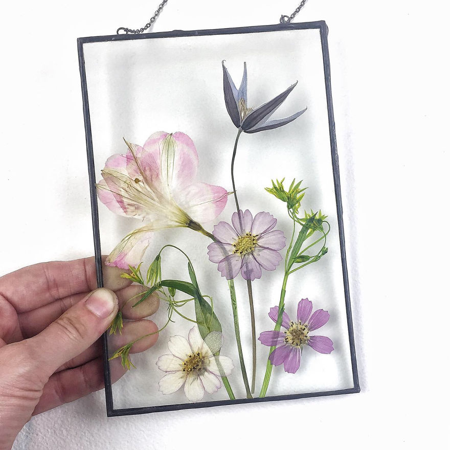 I Quit My Job To Follow My Passion Of Delicate Framed Herbariums I Quit My Job To Follow My Passion Of Delicate Framed Herbariums